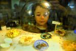 Dcouverte de la fourmilire  la cit des enfants - Cit des Sciences  Paris