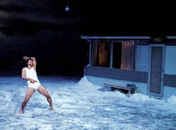 32, rue Vandenbranden par la compagnie Peeping Tom