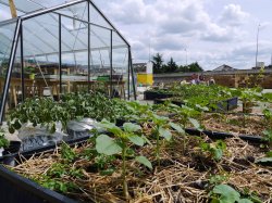 48h de l'agriculture urbaine