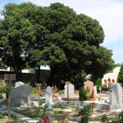 cimetiere musulman bobigny