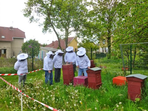 Apiculteur dans la cit-jardins de Stains