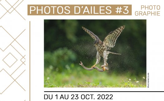 Exposition Photo d'Ailes  l'Espace des arts 