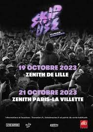 Skip The Use en concert au Znith