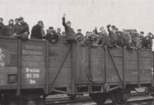 La fin de la Shoah. Survivre, t�moigner, juger