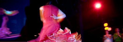 Flamenco � la Villette