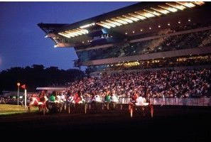 Course de chevaux - hippodrome