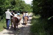 groupe d'enfants sur les poneys - promenades centres de loisirs