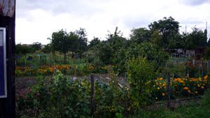 Jardins ouvriers  Pierrefitte