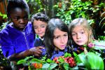 la découverte des papillons dans le jardin de la Cité des enfants - 5 à 12 ans