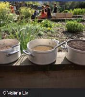 atelier Cuisiner la terre à la Villette dans les jardins - photo Valérie Liv