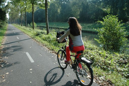 Vélo sur la piste cyclable du canal de l'Ourcq
