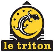 Le Triton, Scne de Musiques Actuelles