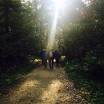 Se promener en fort ou dans les parcs du 93