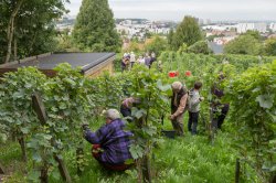 Confrrie de la Fronne-Haute. Seine-Saint-Denis Tourisme A.Vila / ENS Louis-Lumire/2015