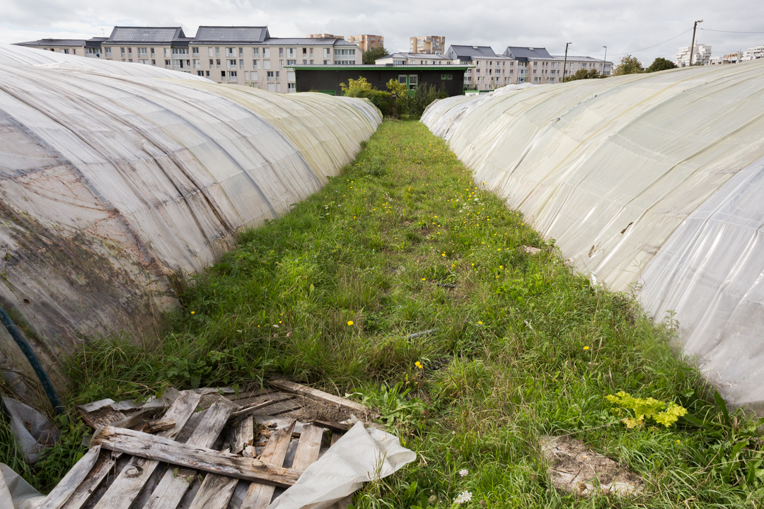 Seine-Saint-Denis Tourisme A.Vila / ENS Louis-Lumire/2015