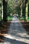 promenade dans un parc aprs les ftes, faire son footing