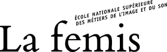 Logo Femis
