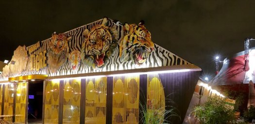 Le cirque lectrique - Paris
