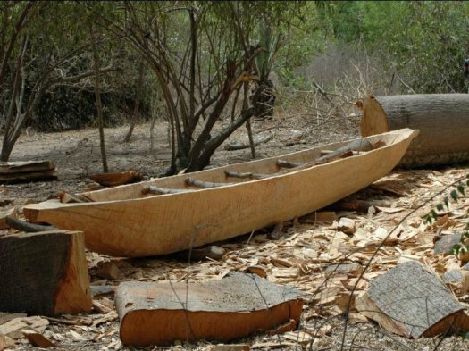 Construction d'une pirogue  l'archosite