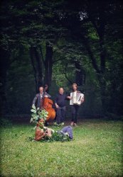 Rhizomes, festival des musiques du monde