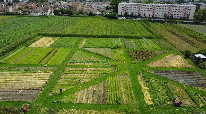 Ferme urbaine de Saint-Denis