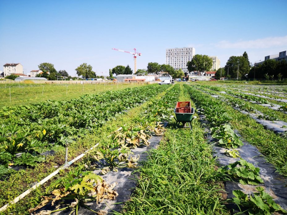 ferme urbaine de saint denis