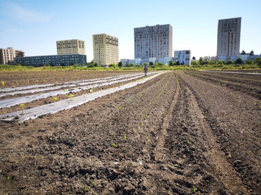 ferme urbaine de saint denis