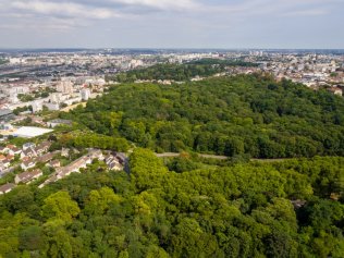 Bois de Romainville