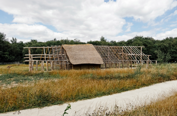 Arch�osite de la Haute-�le