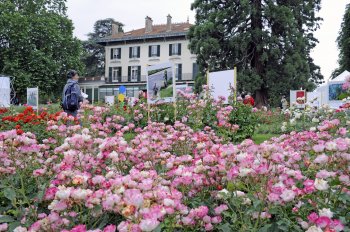 Rosaleda en el parque de Montreau con vistas al Museo de Historia Viviente Ville de Montreuil