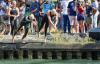 Paris  la nage juin 2023, Open Swim Stars  la Villette et 93