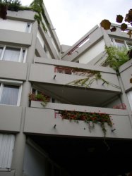 Les balcons végétalisés de La Maladrerie