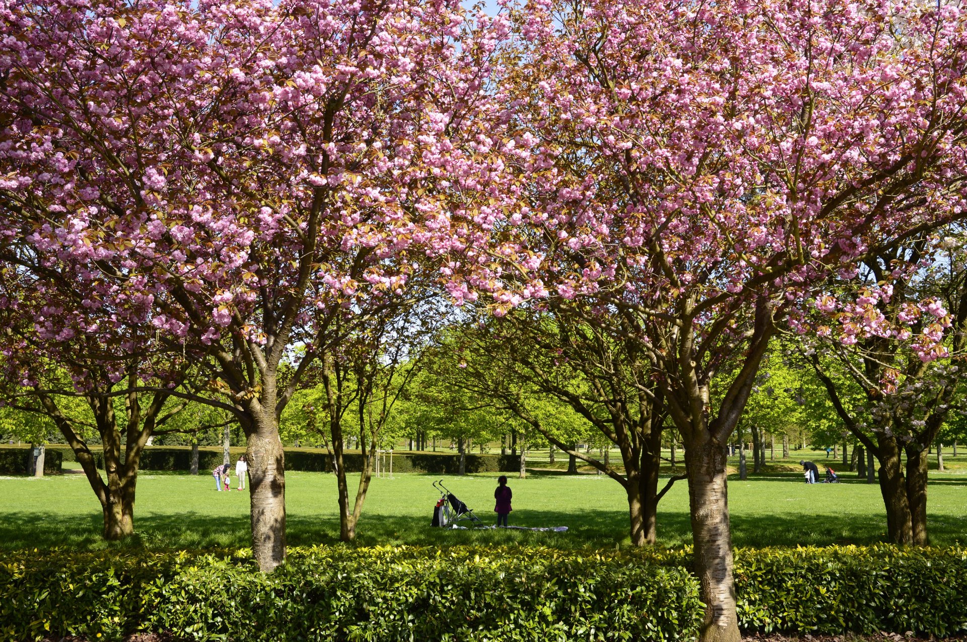 Parc du Sausset à Aulnay-sous-Bois 93, promenades, activités gratuites