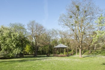 la nature dans le parc Ile St Denis : promenades, coute des oiseaux,...