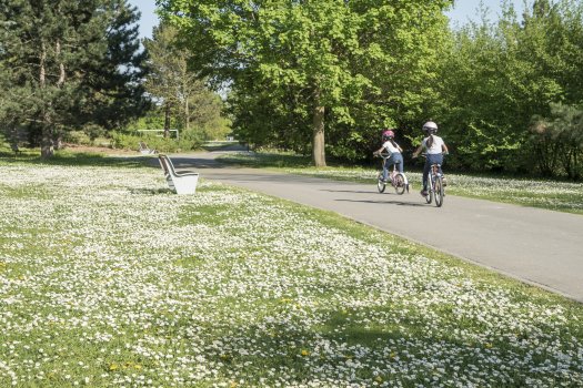 Parc dpartemental de l'Ile-Saint-Denis