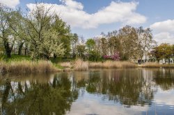 Parc des Beaumonts  Le Petit Explorateur