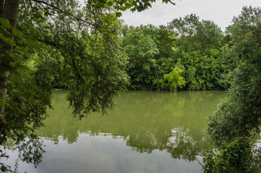 Bords de Marne  Noisy le Grand