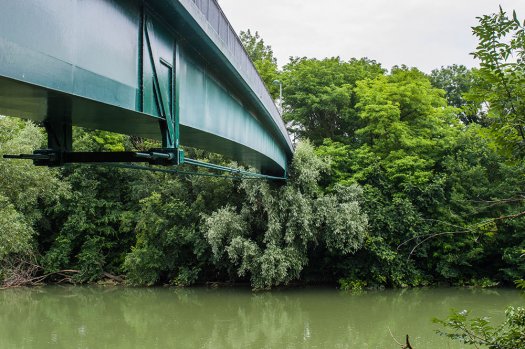 Passerelle sur la Marne