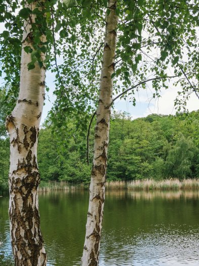 Forêt de Bondy - microaventure La Dhuis, La Bougeotte Française