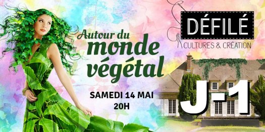 Dfil des cultures Montfermeil 2022