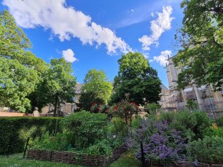 Jardin derrire la basilique Saint-Denis - visuel CMN