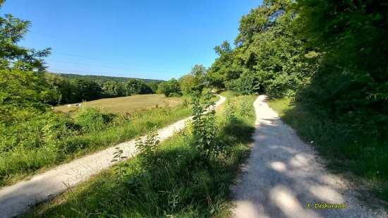 Chemin de la Dhuys  Coubron  F. Deshuraud