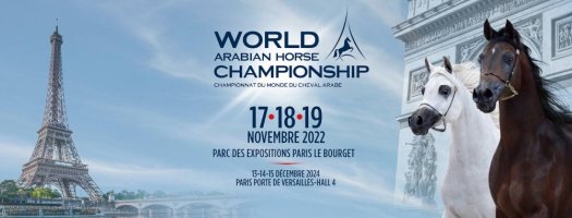 Championnat cheval arabe - Bourget 2022