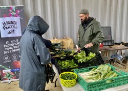 Vente directe de lgumes au Potager - novembre 2022