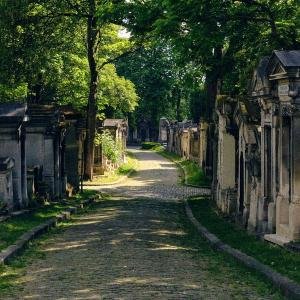 An alley in the cemetery