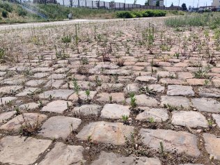Ancienne usine d'orfvre - sortie pour les Groupes 