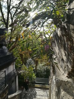 Visite guide Anticor au Cimetire du Pre-Lachaise
