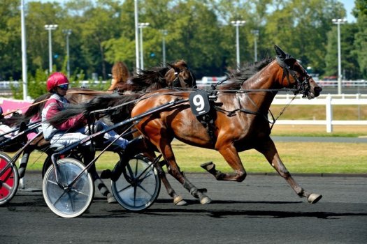 VG Hippodrome de Vincennes zoom (c) CDT 94