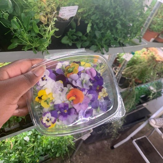 Ferme urbaine la caverne