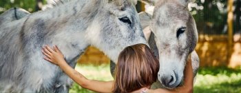 La Villette Farm - visual LaVillette-SAnj